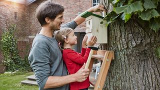 Father and daughter hanging up nesting box