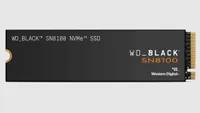 Western Digital WD BLACK SN8100 