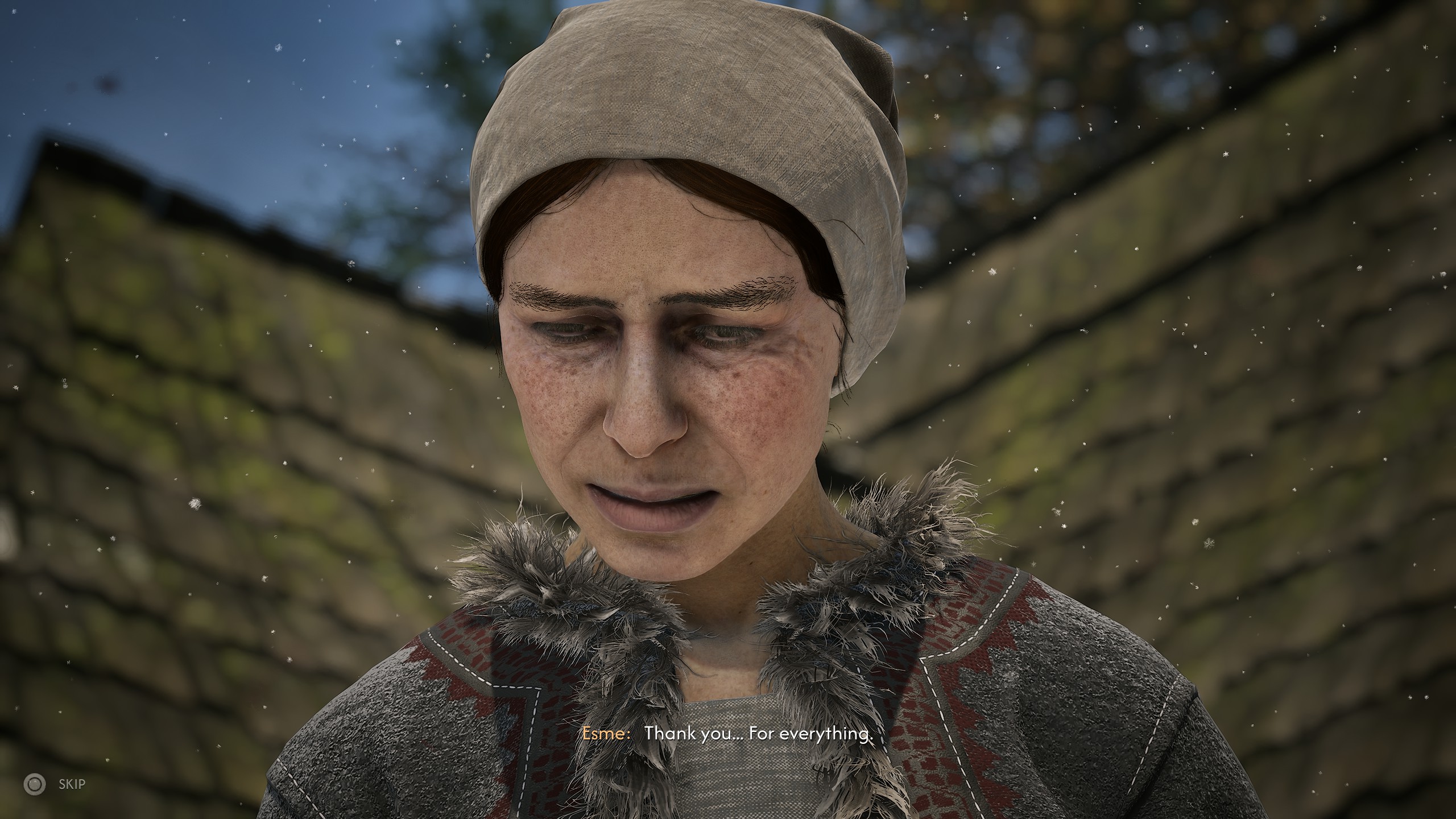 Coen's mother in The Blood of Dawnwalker saying &amp;quot;Thank you. For everything.&amp;quot;
