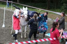 Gymkhana10-copy.jpg