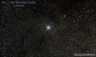 The Wild Duck Cluster, also known as Messier 11, is a popular target for stargazers in the summer and early fall. It's a concentration of 2,900 stars that sits about 6,100 light-years away, in the plane of the galaxy. Search for it in your astronomy app. Then, using binoculars, hunt for a fuzzy patch in the star-filled region southwest of the constellation Aquila. Your telescope at low magnification will show it well. It's approximately one-third of the moon's diameter across. This image by Michael Watson of Toronto was taken in Algonquin Park using a Nikon D810 camera body on a 4-inch telescope.
