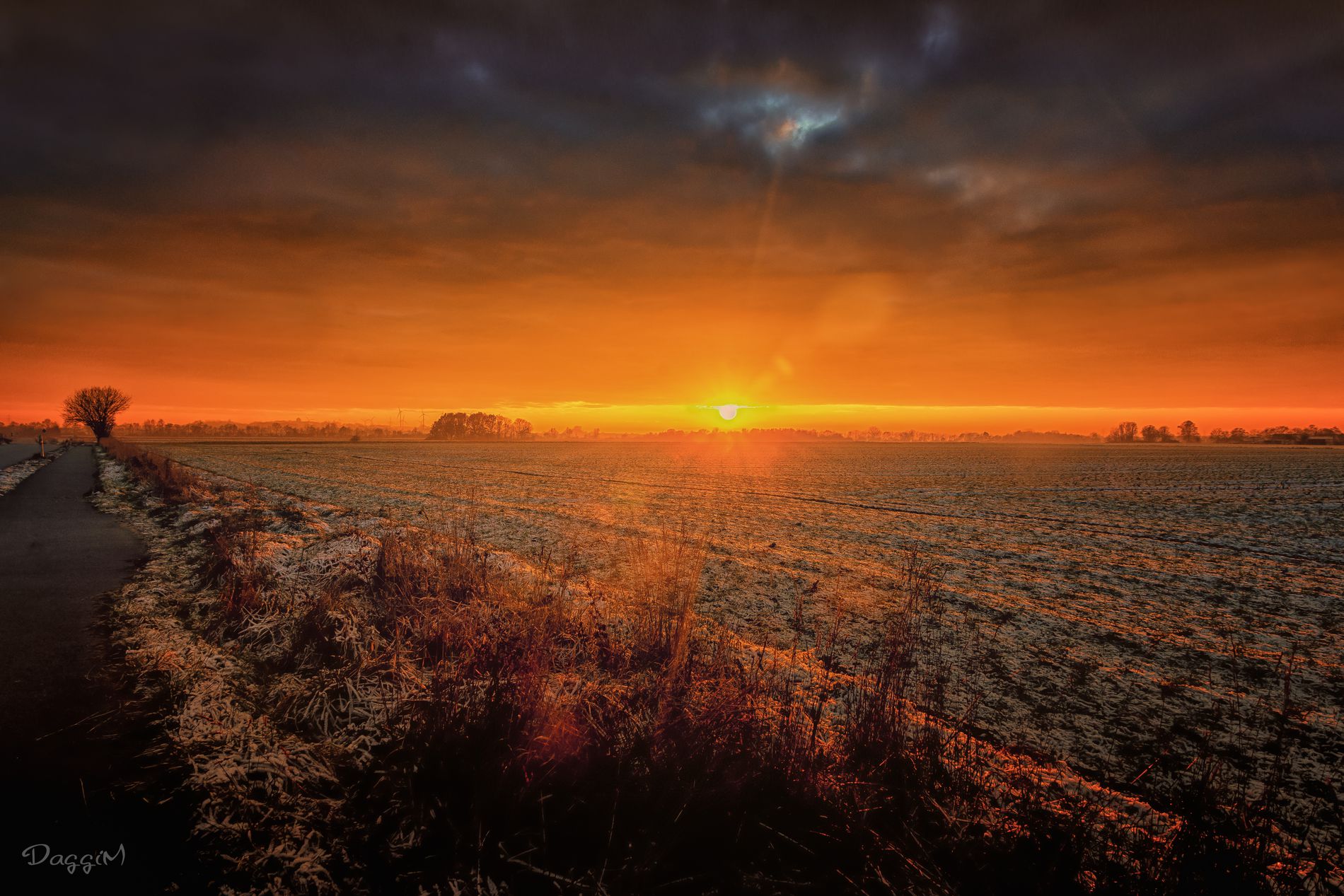 GuruShots - March 2026