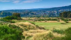 The 8th hole at Tain on Scotland's north-east coast