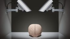 An illustration with two security cameras pointed at a brain