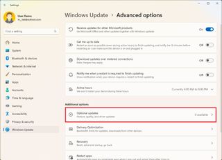 Optional updates for Windows 11