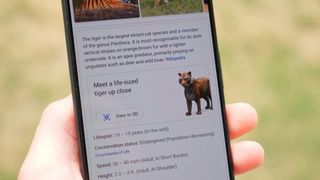 Google Search 3D animals