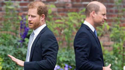 Prince Harry 'suffered' - Prince Harry and Prince William unveil Princess Diana's memorial statue at Kensington Palace