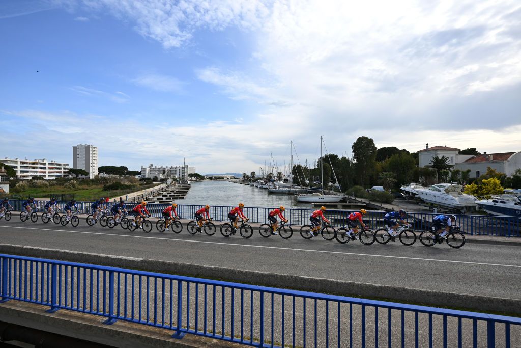A general view of the peloton competing during the 1st Classic Var 2024 a 184.3km one day race from Saint-Raphael to Mont Faron 499m on February 16, 2024 in Mont Faron, France. (Photo by Billy Ceusters/Getty Images)