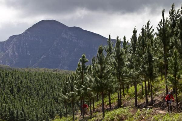 Riders enjoy the forest singletrack descent into George