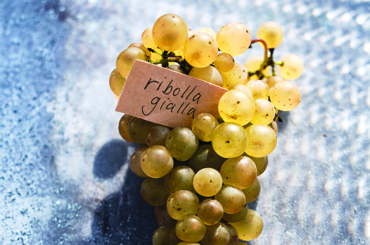 Australia's Italian varietals