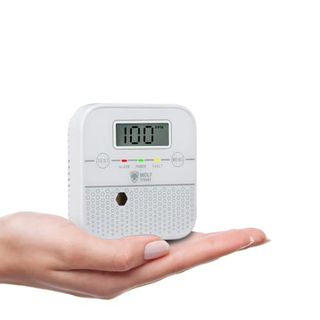 Wolf Shield Carbon Monoxide Alarm Co Detector Battery Sealed 10 Year Life Portable Mini Carbon Monoxide Monitor With Display Test Silence Button for Home,campervan and More