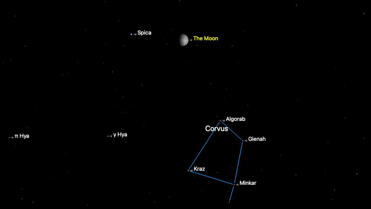 Don’t miss Spica shine with the waxing gibbous moon tonight