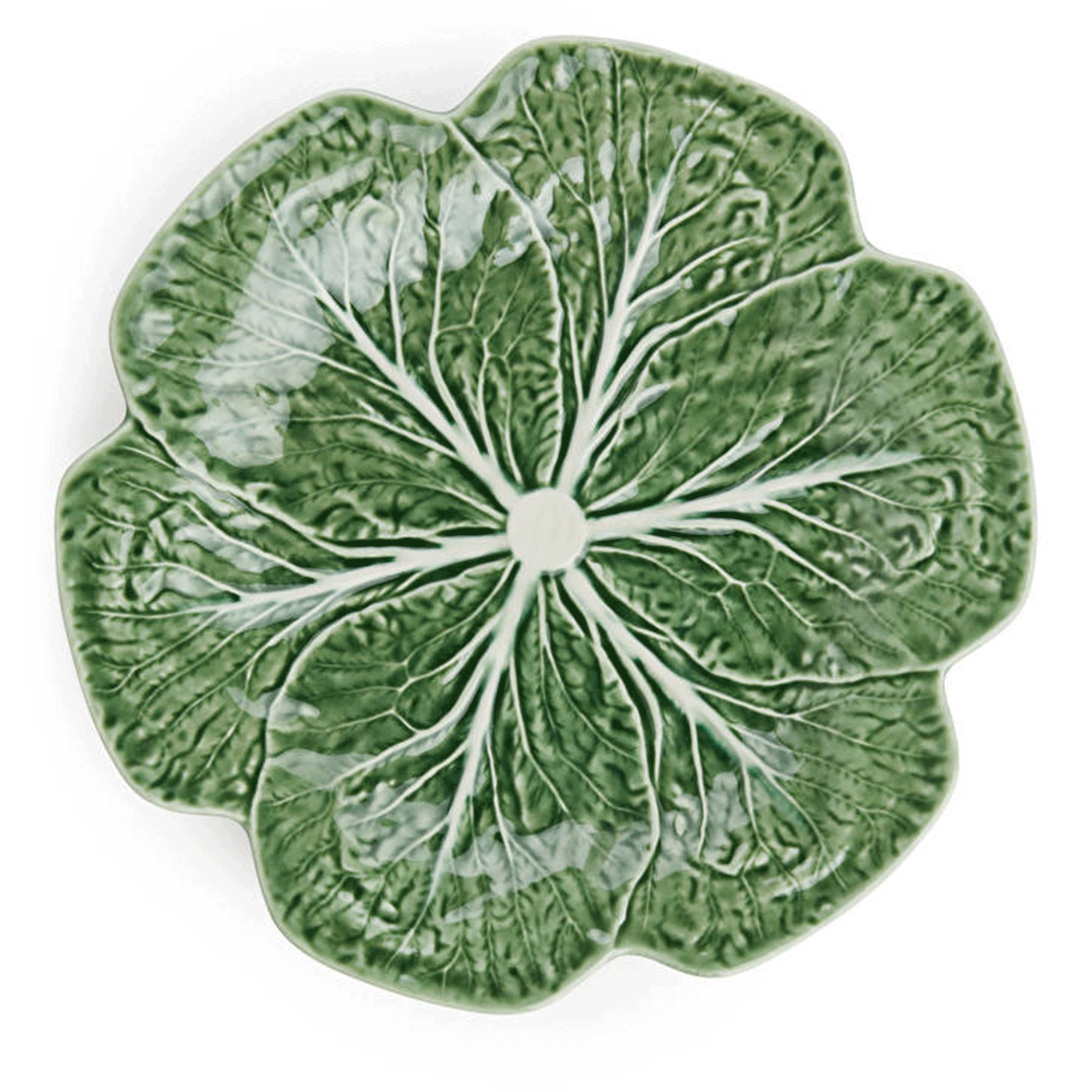 Green cabbage plate