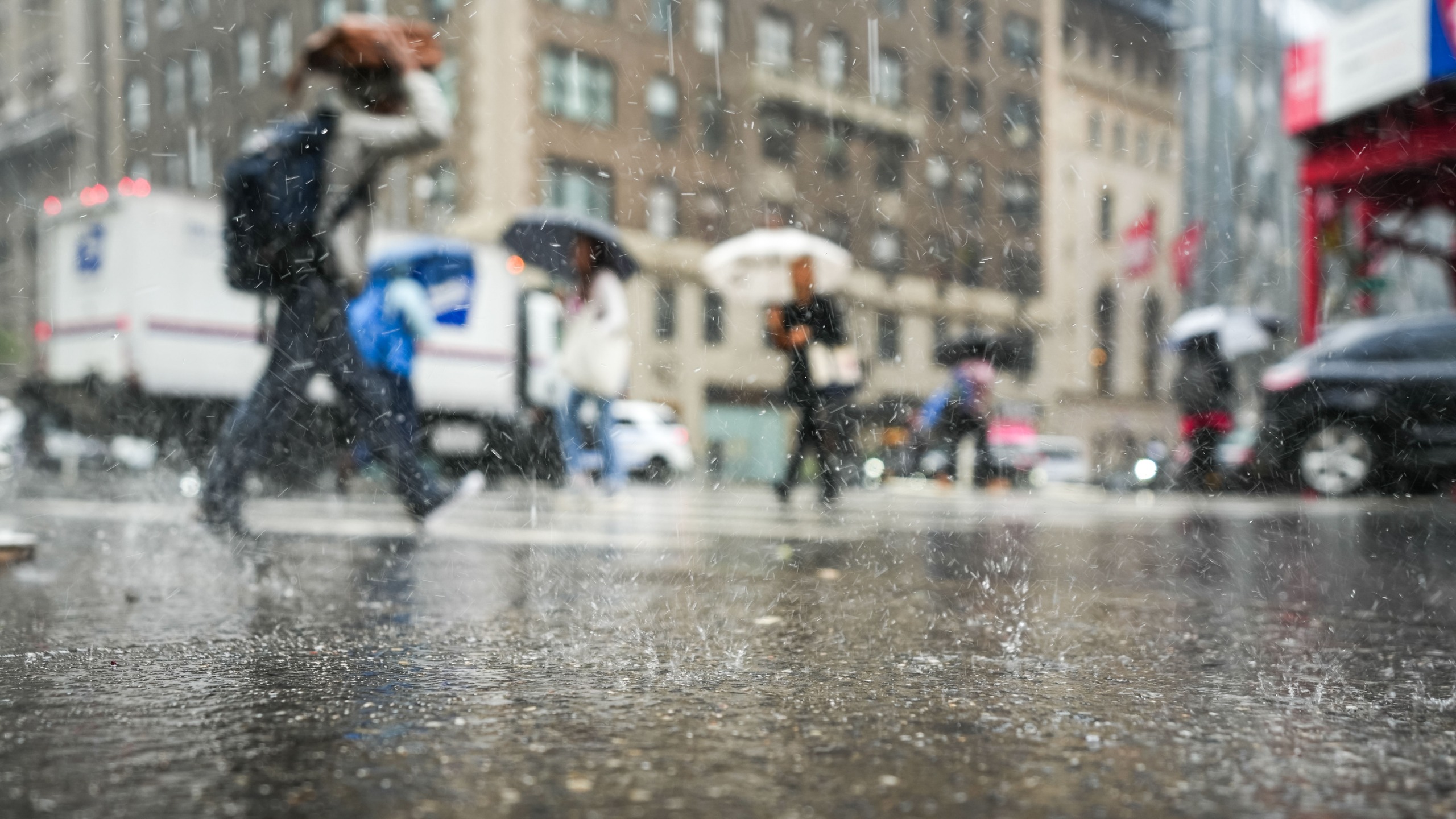 rain nyc