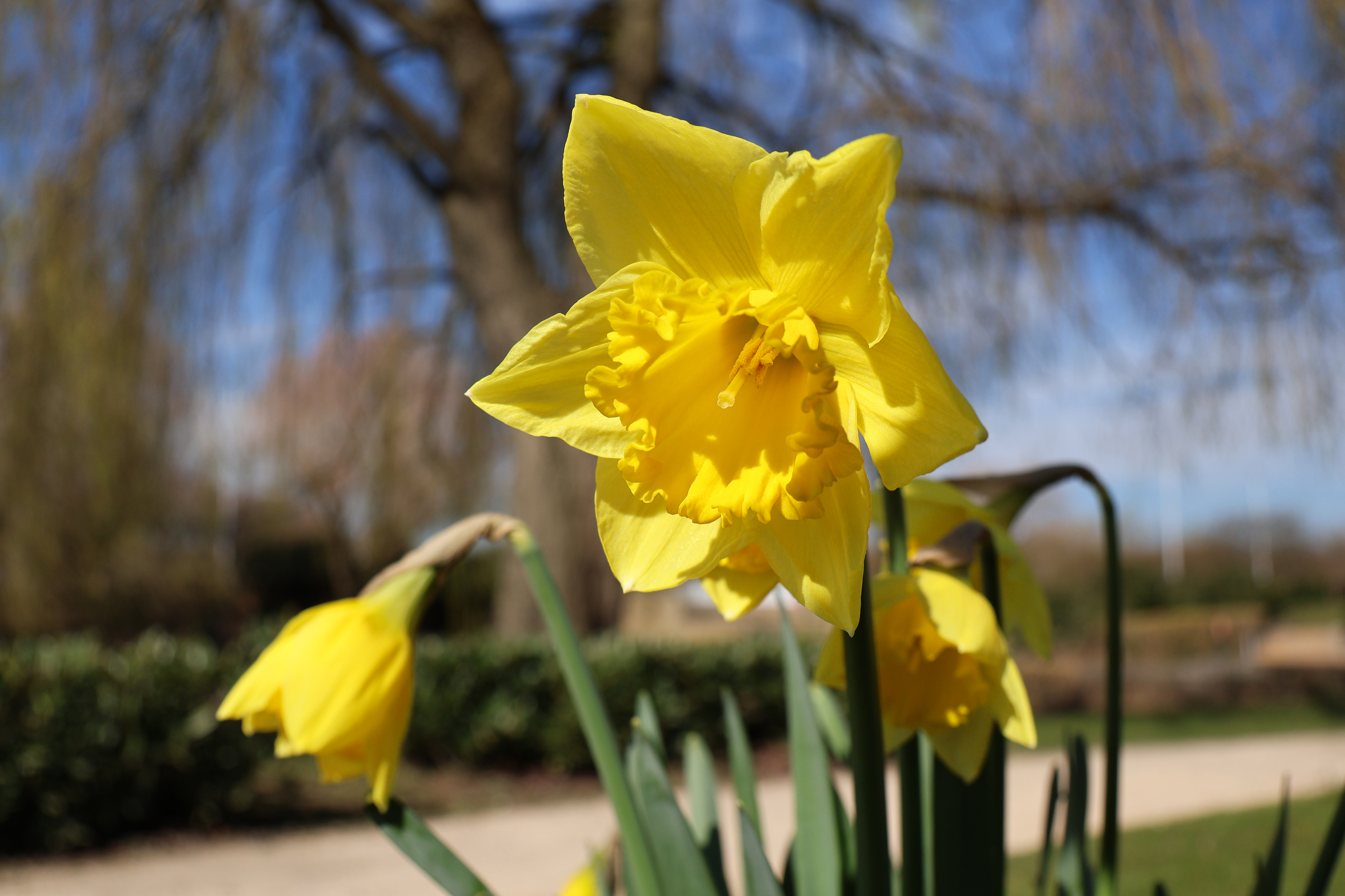 Sample image taken on the Canon PowerShot V1