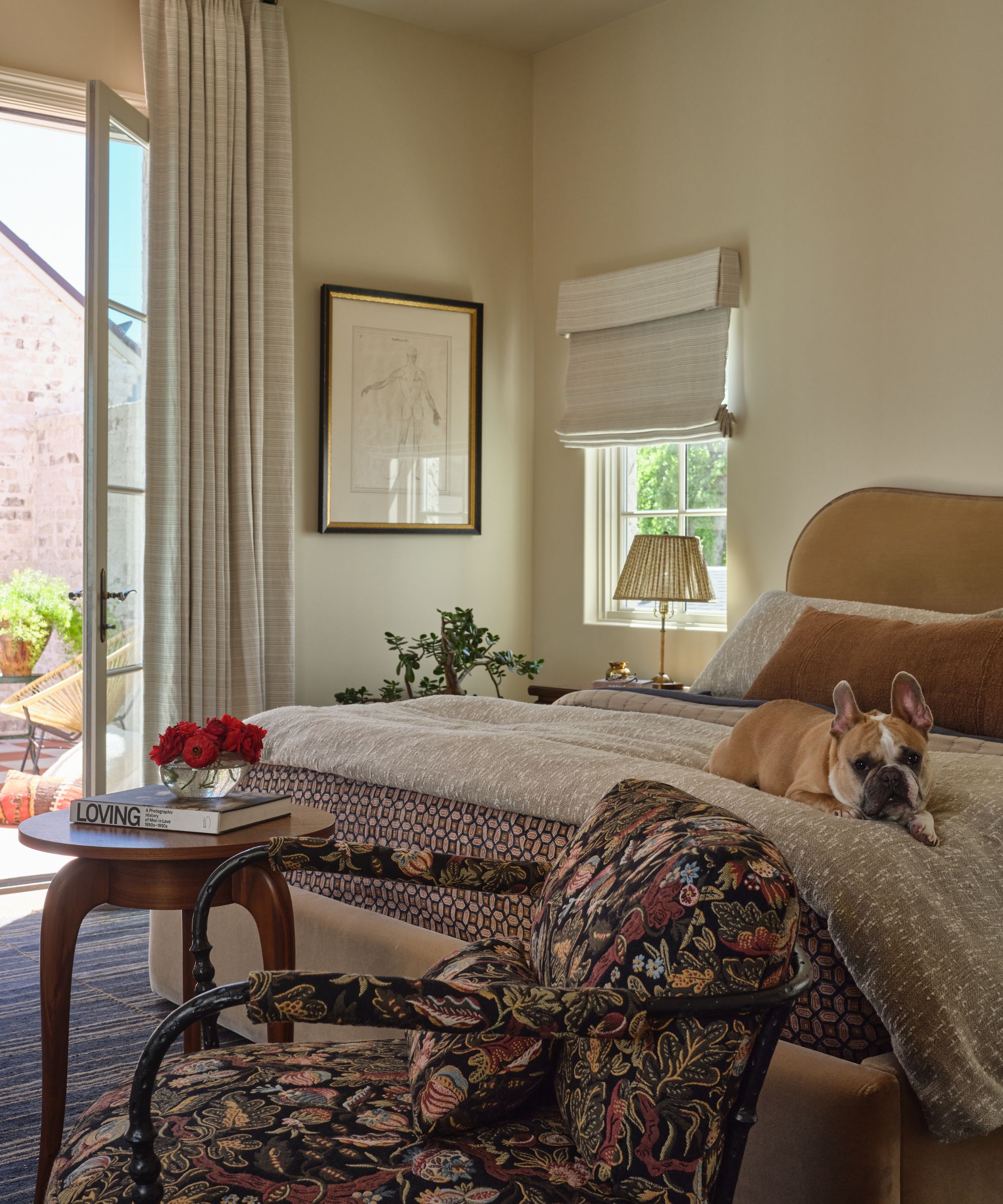 a small frenchie dog lying on a layered bed with ochre velvet headboard, styled with a floral chair and wooden table at the foot of the bed