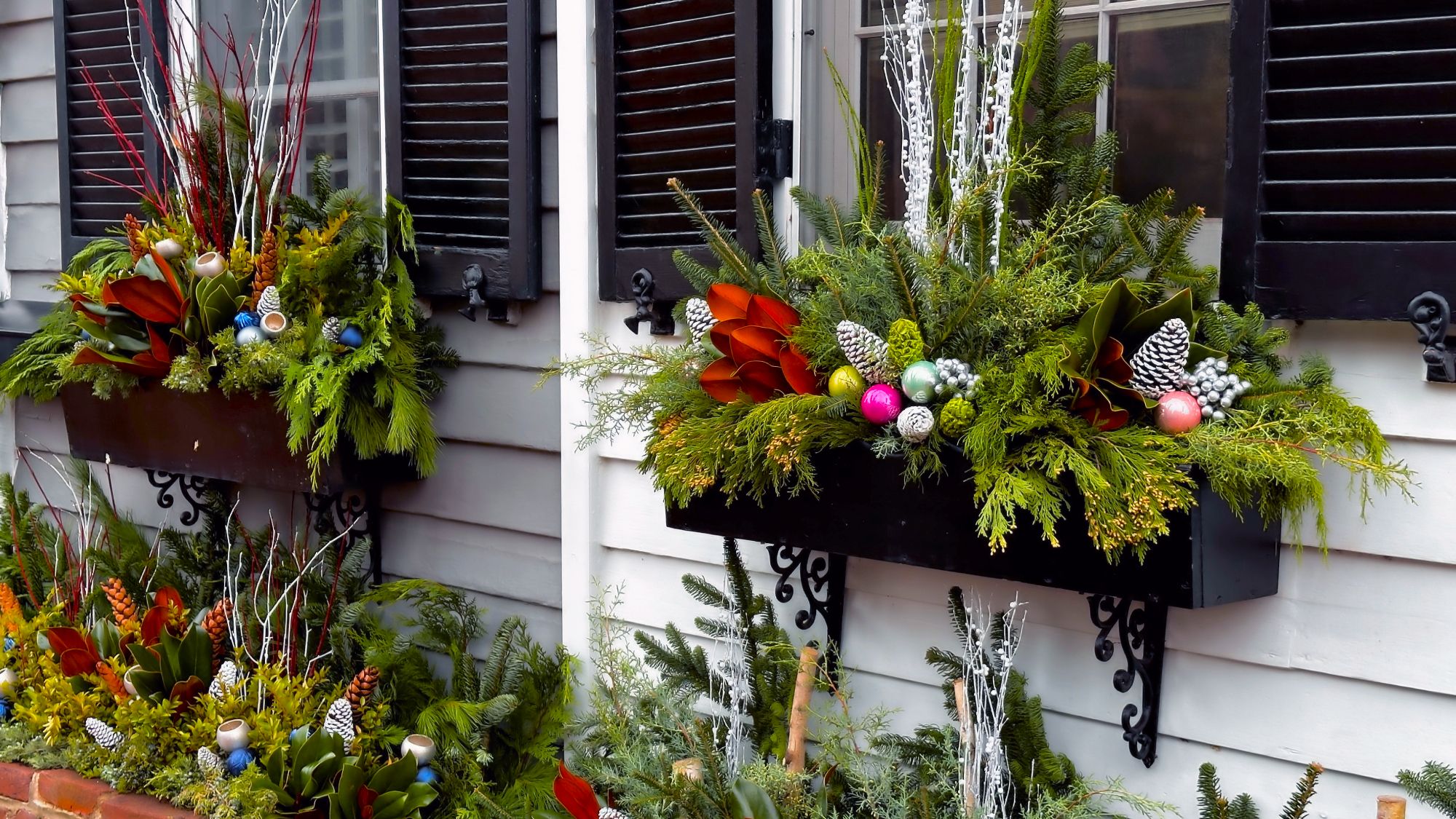 Winterizing Boxes How to Make Winter-Proof Window Boxes That Shine All Season | Gardening ...