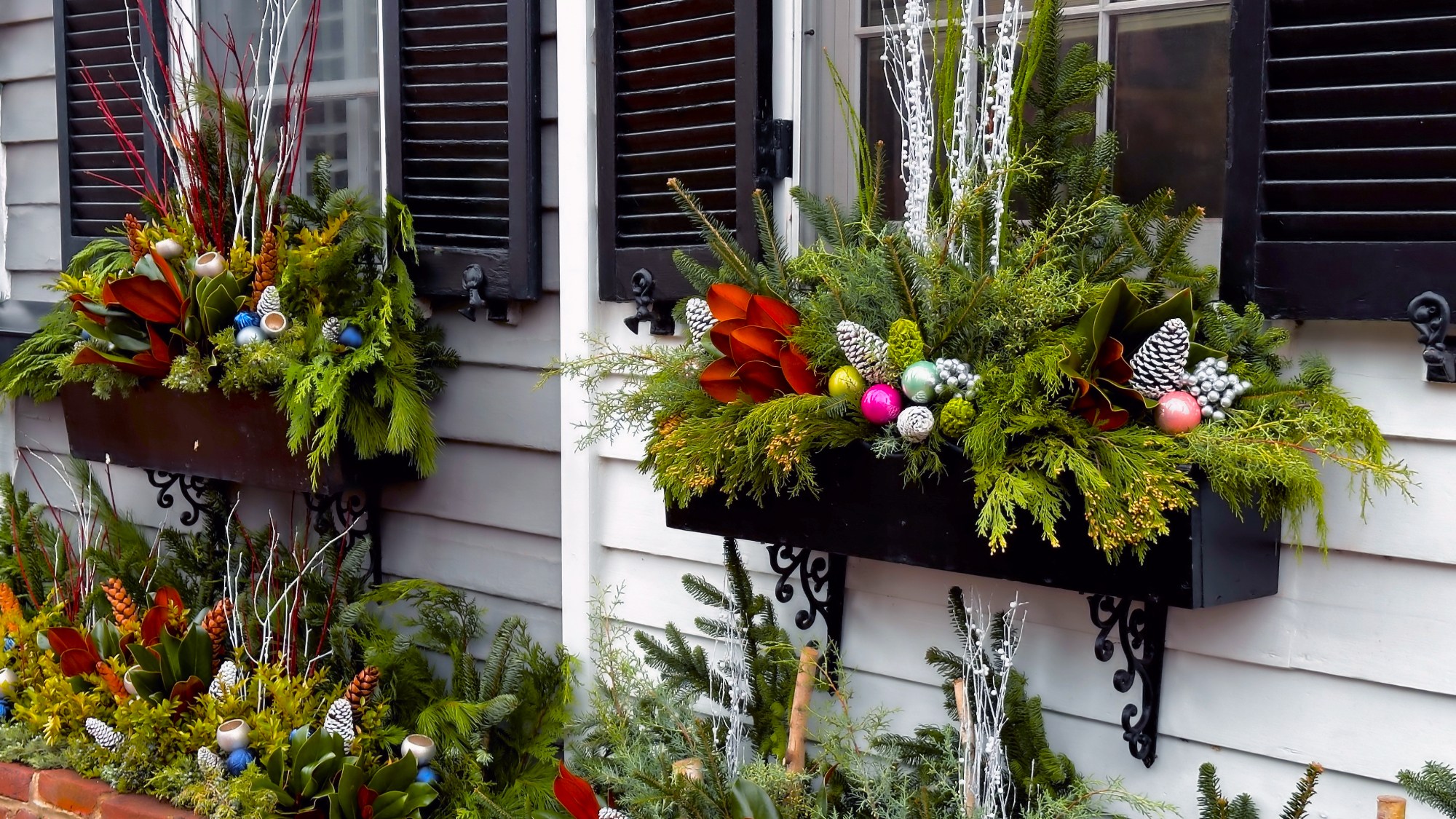 festive winter window boxes