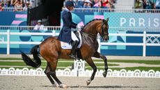 Patrik Kittel and Touchdown in the Paris Olympic dressage grand prix.