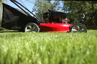 Lawnmower mowing grass