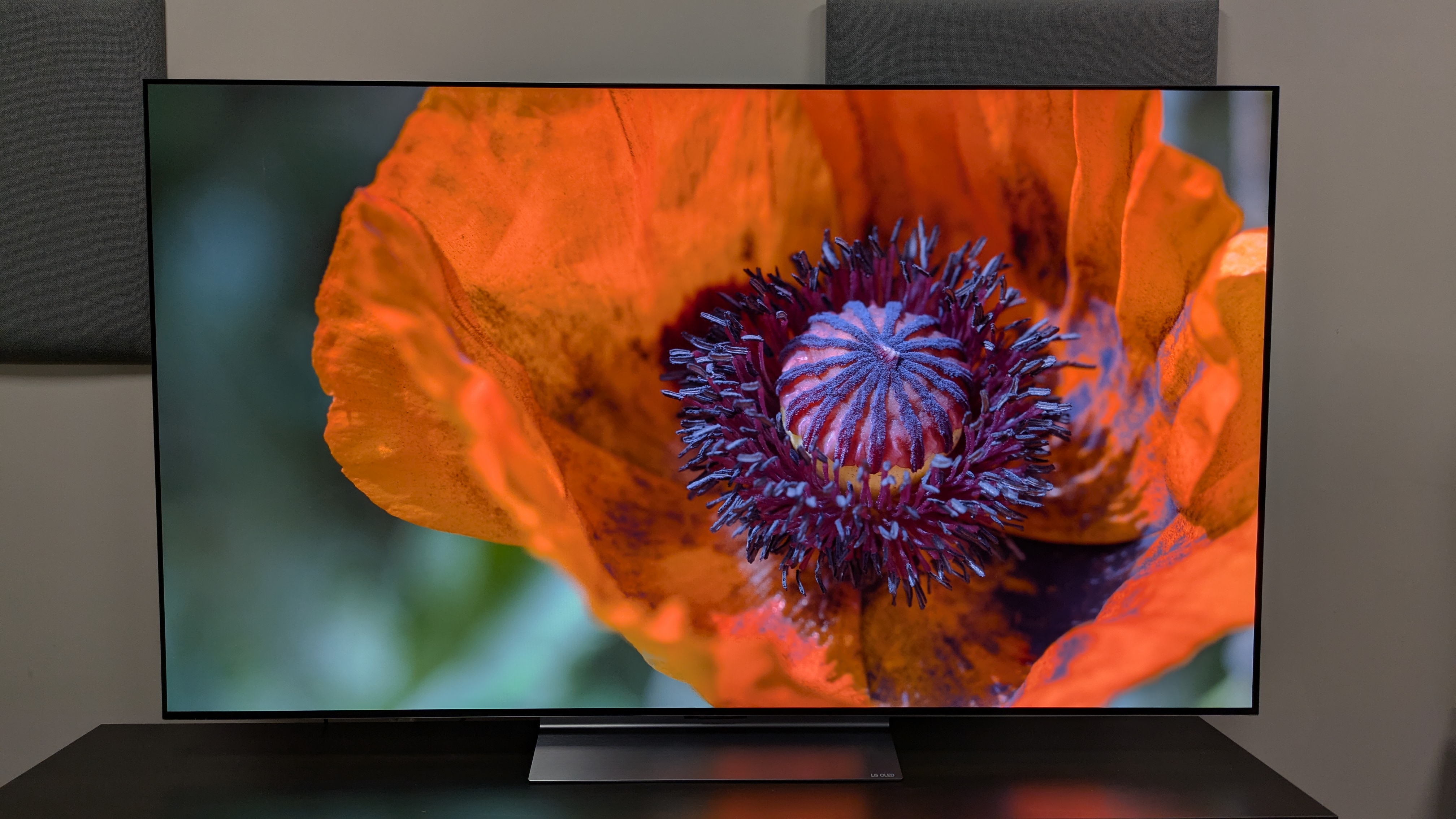 The LG C6 OLED TV with an orange flower on screen. The orange of the flower is realistic and punchy