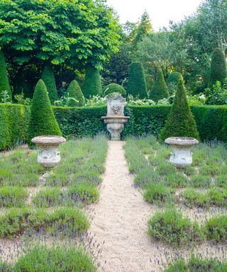 formal garden with lavender beds, sand paths and topiary