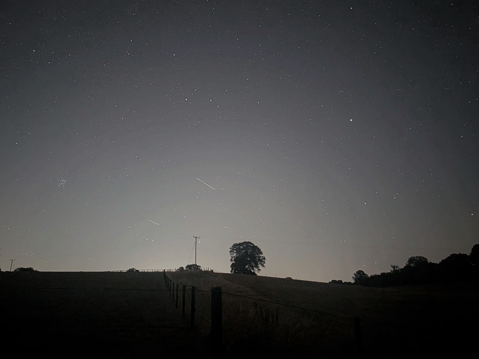 Meteor and plane trails across a clear night sky during the Perseid Meteor Shower 2026, framed by tree silhouettes and the horizon