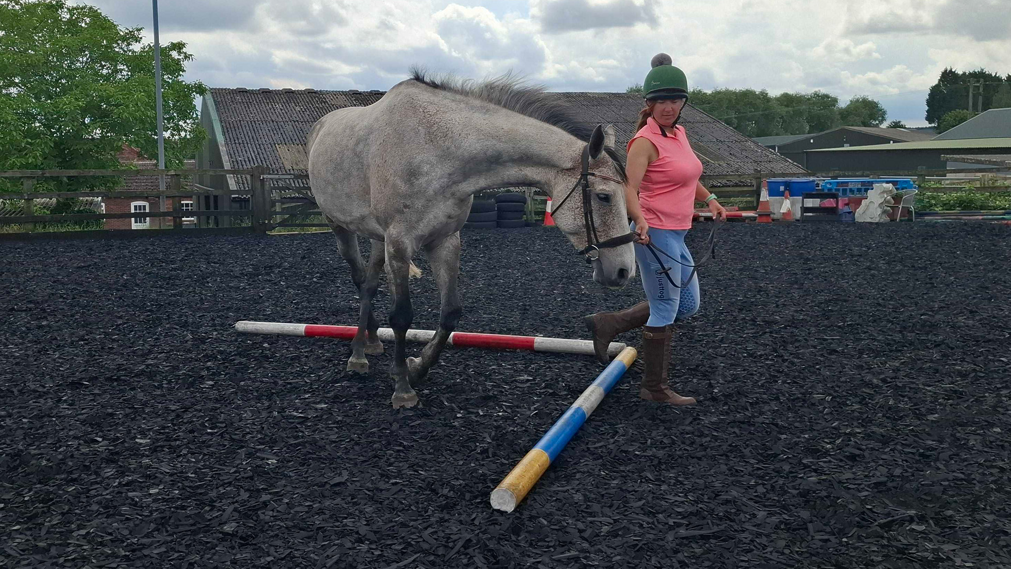 Woman leading horse over two poles laid at right angles