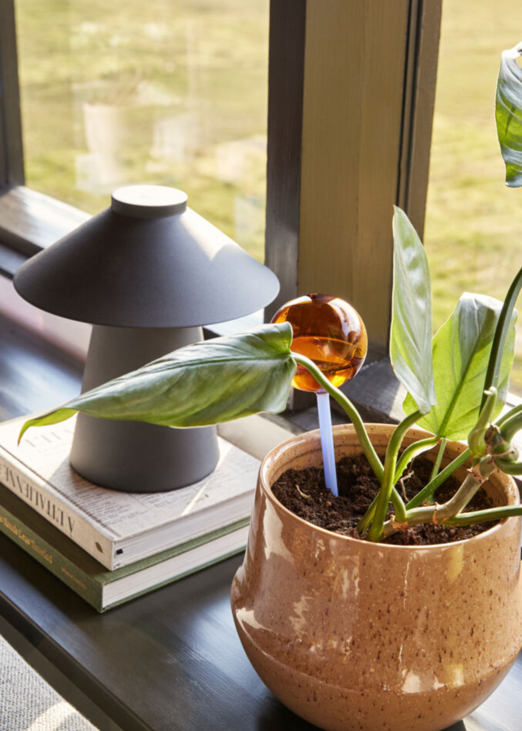 A planter with a amber-lilac watering globe in it beside a black lamp on a stack of books by the window