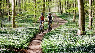 Couple cycling through the forest together on bikes with bags