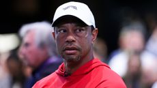 Tiger Woods in TGL