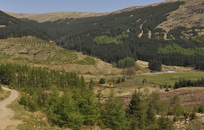 Glen Massan