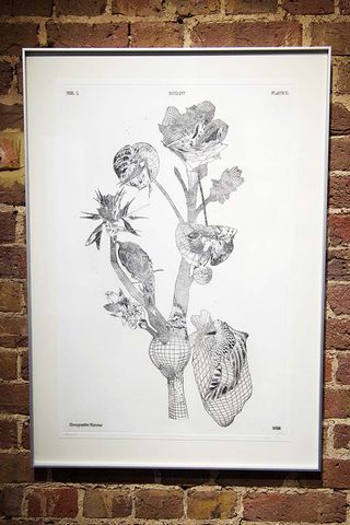Illustrations with etchings and prints of the 'Flower Monster'