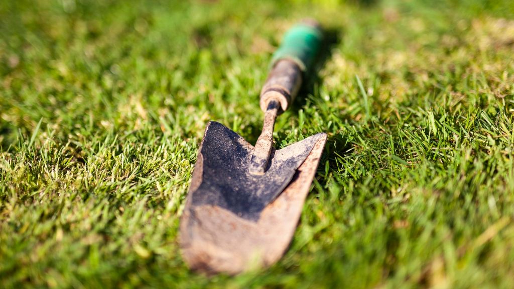 A trowel on the grass