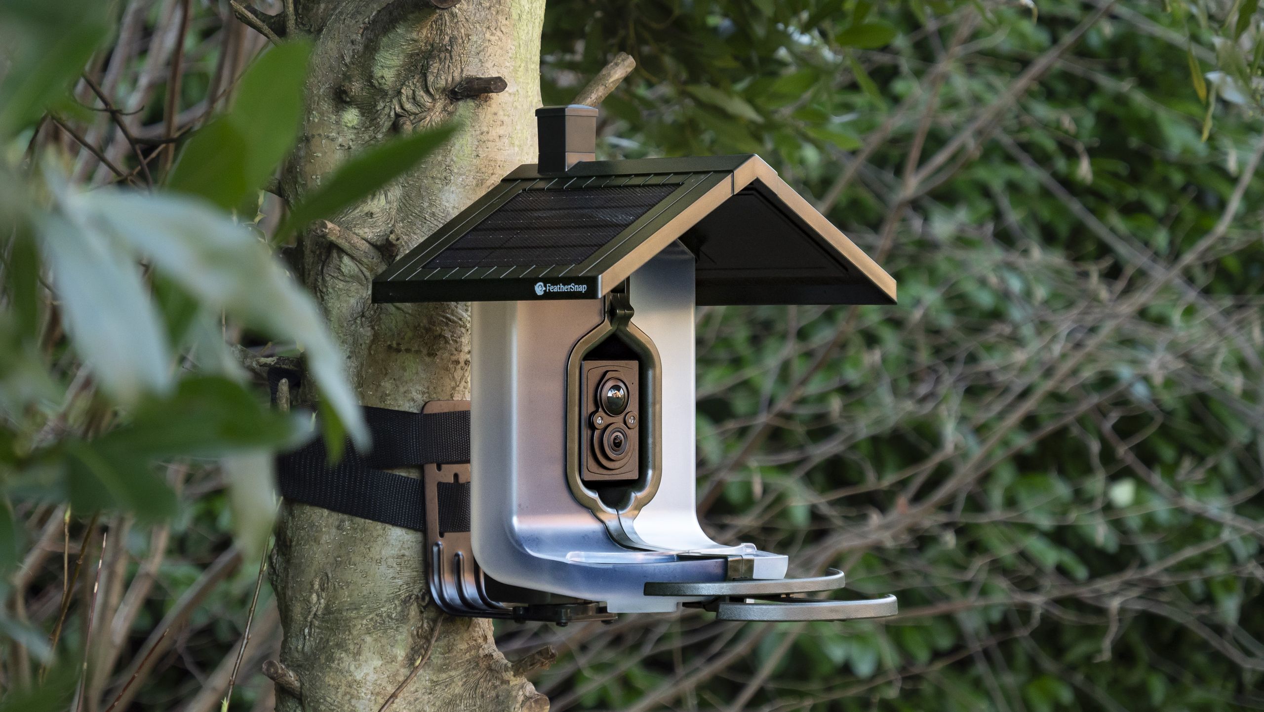 Is your bird feeder camera doing more harm than good? 3 tips&hellip;