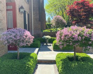 front yard design with symmetrical trees