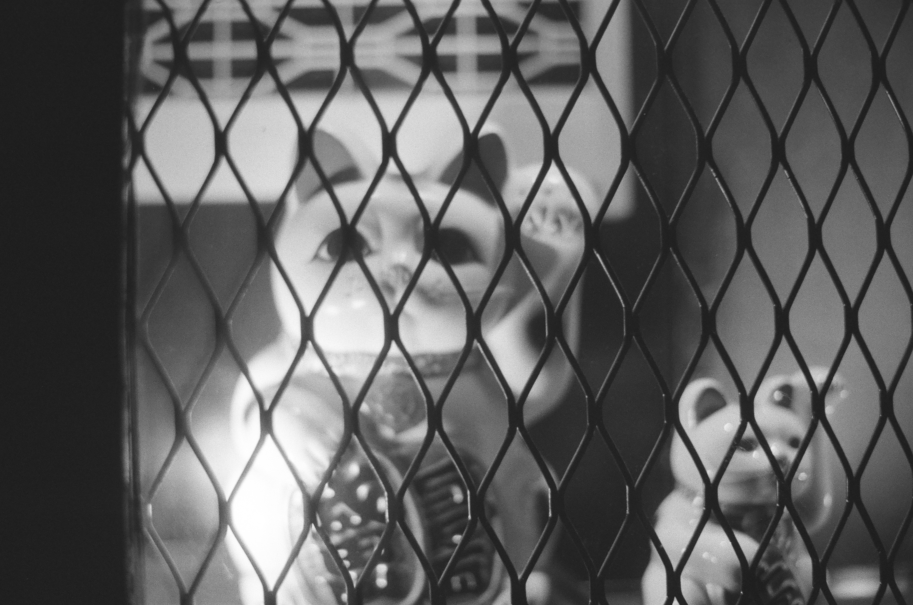 Sample photo of AgfaPhoto APX 400 35mm film showing Chinese lucky cats behind a metal mesh screen