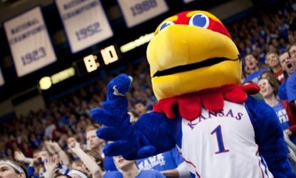 The University of Kansas Jayhawk mascot: KU bought up several Kansas-related .xxx domains over the last two months in an effort to prevent porn producers from profiting off the school.