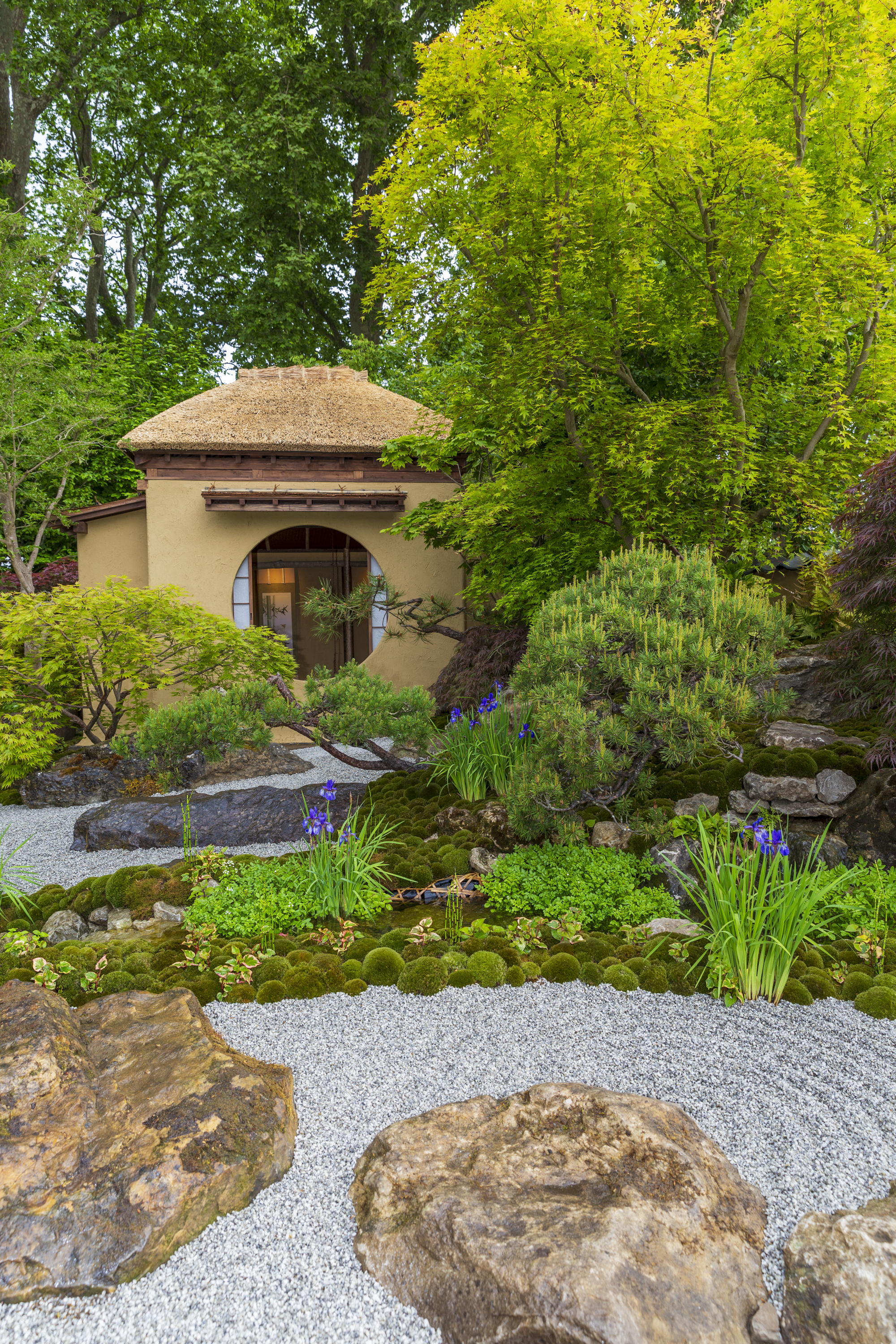 Cha no Niwa - Japanese Tea Garden at RHS Chelsea Flower Show 2025