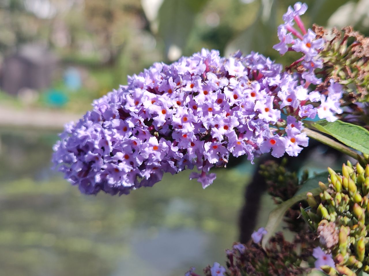 Motorola Edge 30 camera sample