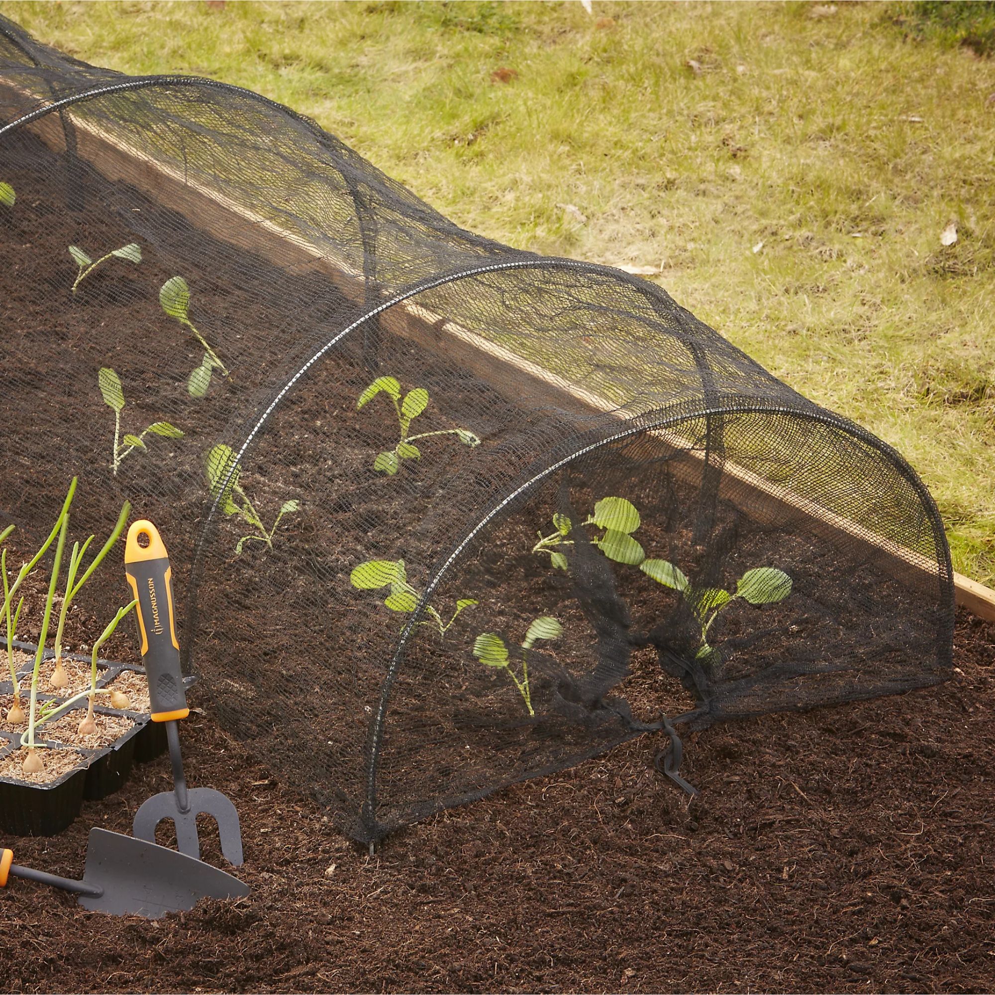 Verve Collapsible Cloche