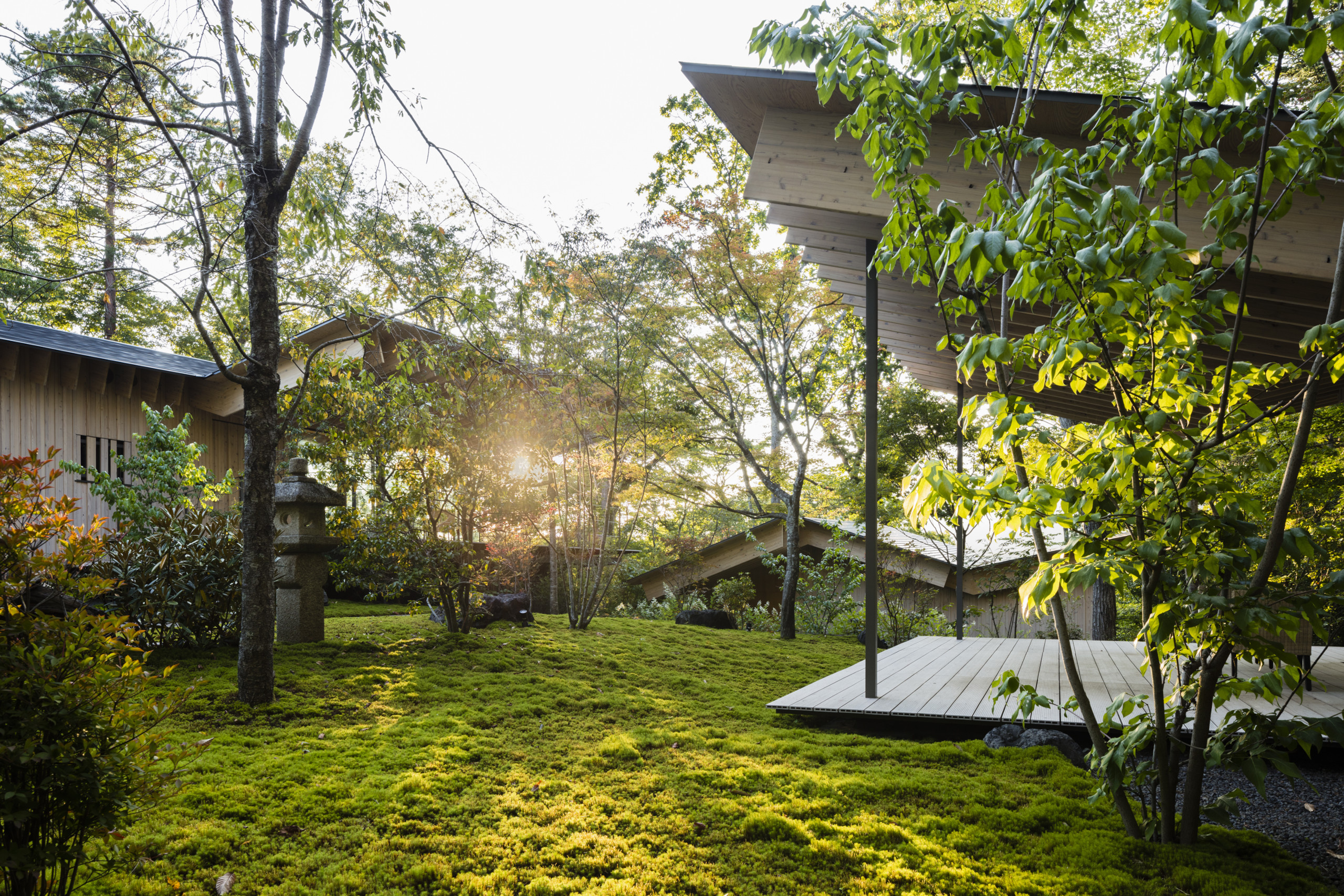 Views of Wild Bird Forest Lodge