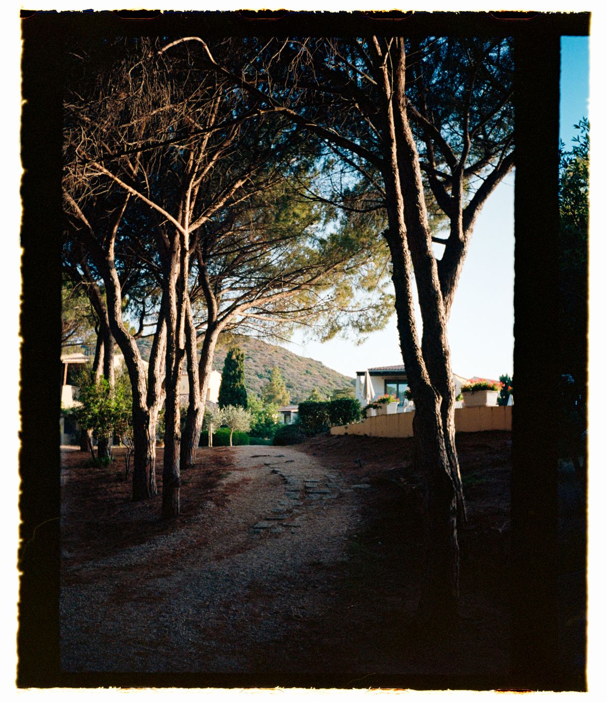 A path leading through a wooded area to some houses, shot on 35mm half-frame film with film borders around the outside of the image