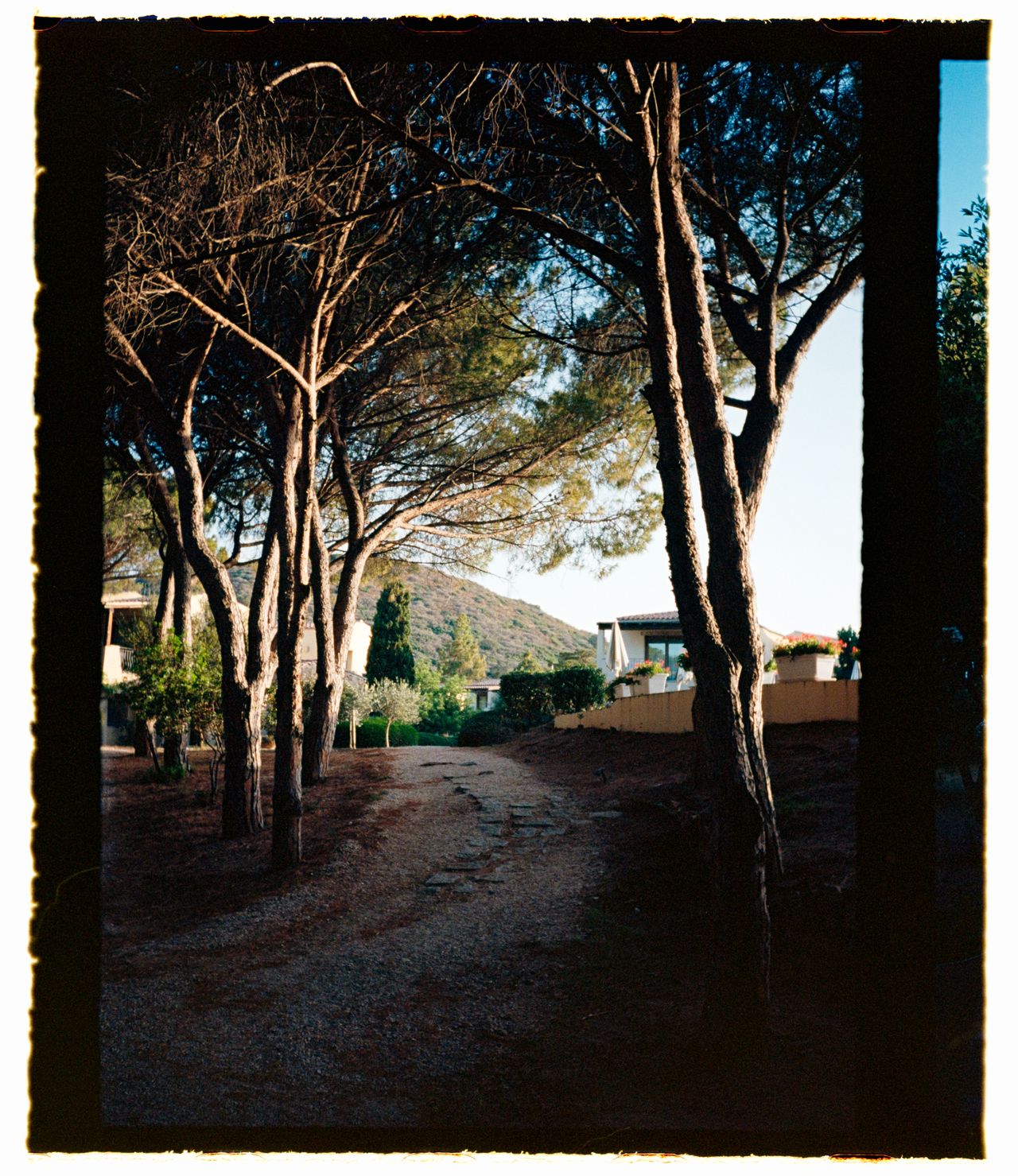 A path leading through a wooded area to some houses, shot on 35mm half-frame film with film borders around the outside of the image