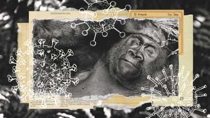 Photo collage of a sick gorilla overlaid with vintage style illustrations of virus molecules