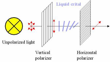 In Detail - LCD Or Plasma - What's Your Pleasure? Understanding Modern ...