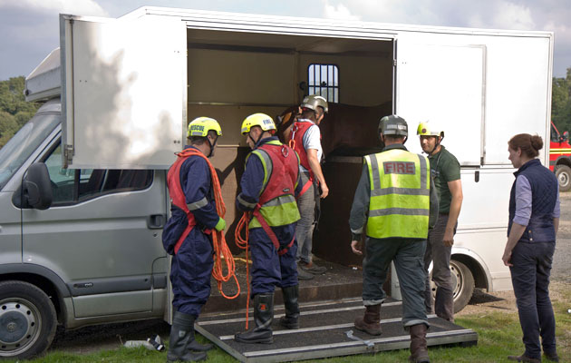 Horse Rescue 1