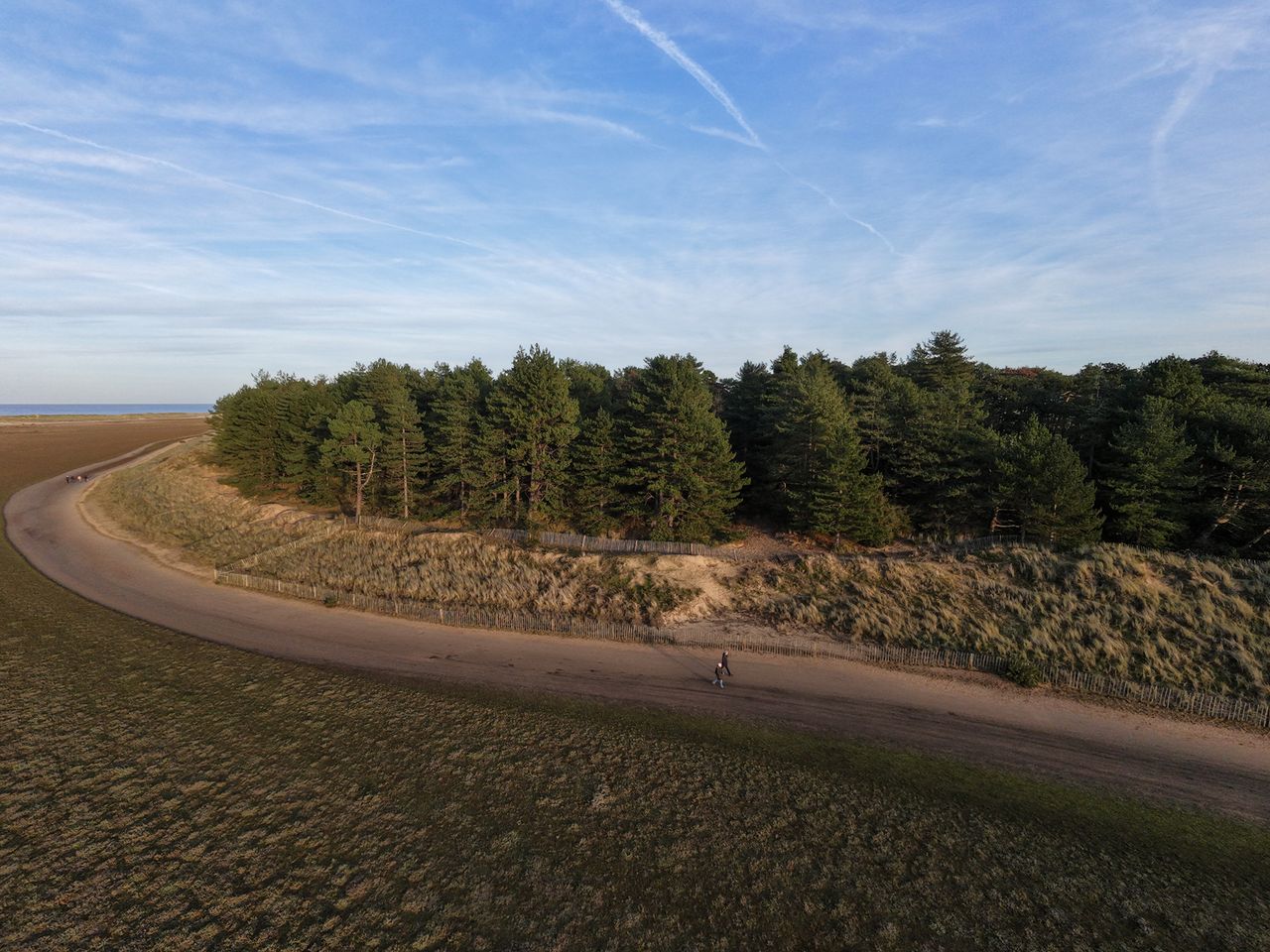 Photo of Xtrees at the coast taken with the DJI Neo 2 drone