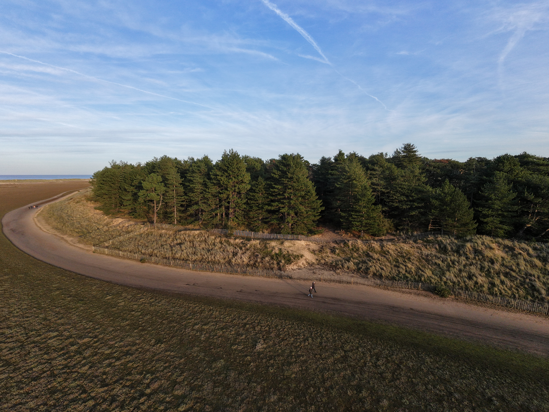 Photo of Xtrees at the coast taken with the DJI Neo 2 drone