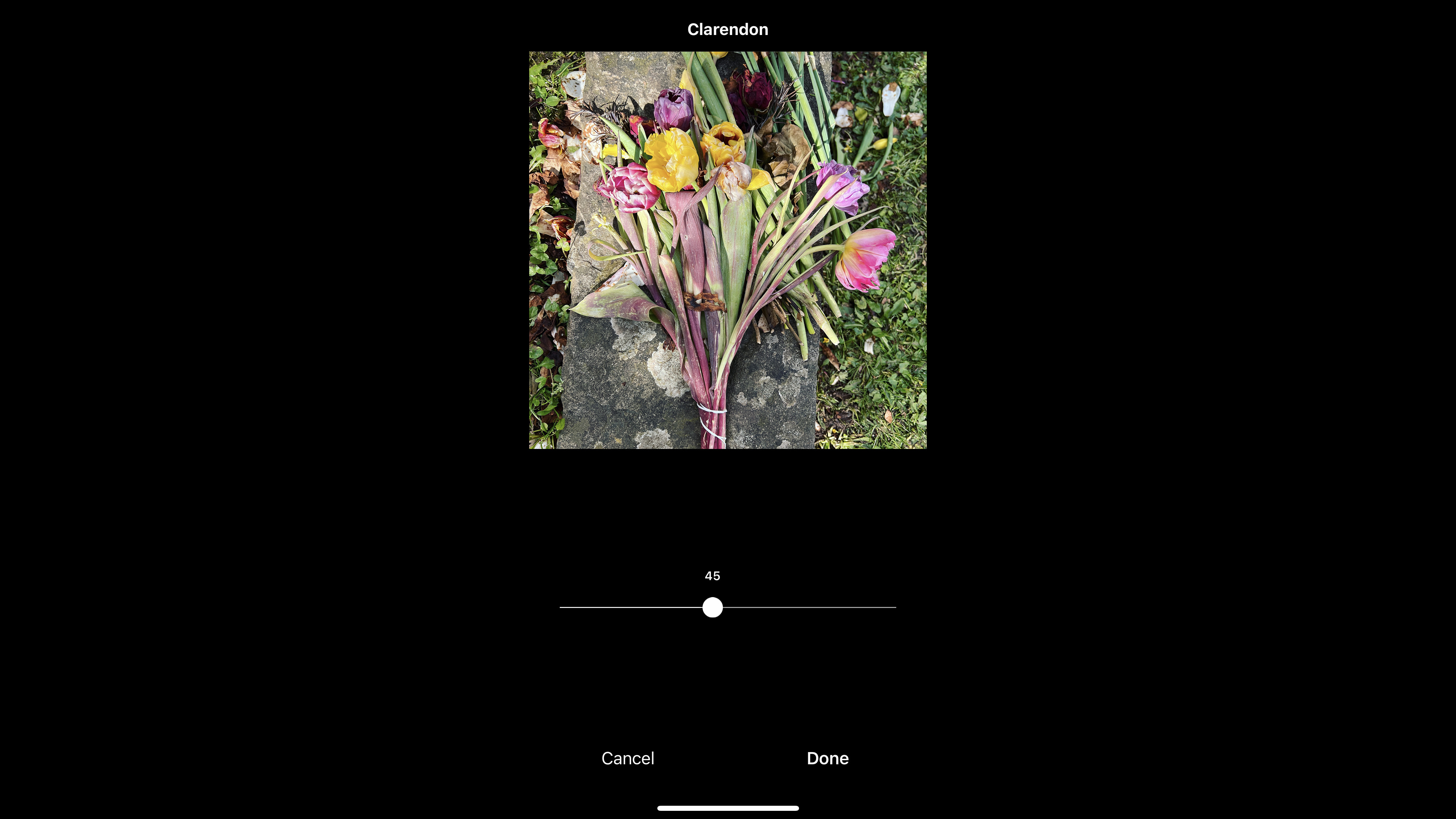 How to use Instagram filters